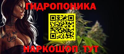 наркотики Пугачёв