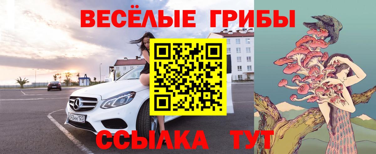 Псилоцибиновые грибы Psilocybe Ртищево